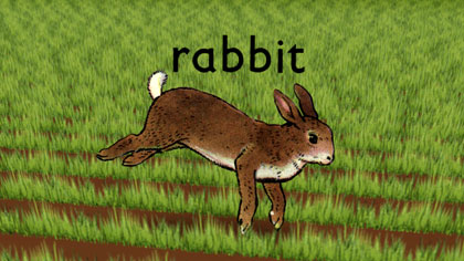 http://1percent.files.wordpress.com/2006/12/rabbit01.jpg